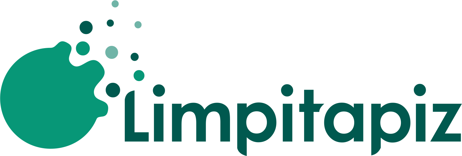 Logo de LIMPITAPIZ